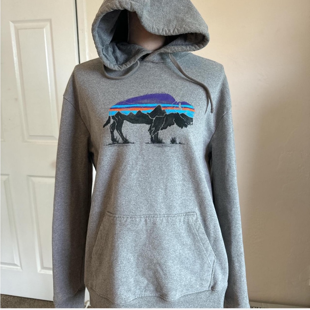 Patagonia hoodie